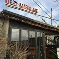 OLD MULLAEの写真_305552