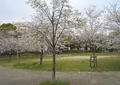 桜ノ宮公園の写真_305861