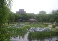 城北公園の写真_305870