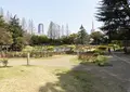 靱公園の写真_308759
