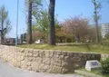 太子橋中公園の写真_308975