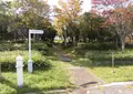 舞洲緑地の写真_310902