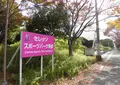 セレッソ舞洲人工芝グラウンドの写真_310906