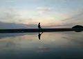 父母ヶ浜海岸の写真_312813
