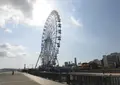はい！からっと横丁の写真_315702