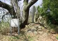 獄山城跡の写真_317057