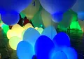 【閉業】森ビルデジタルアートミュージアム：エプソン チームラボボーダレス（MORI Building Digital Art Museum: EPSON teamLab Borderless）の写真_341276