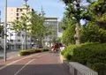 蔵本通りの屋台の写真_343974