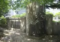 林市蔵先生肖像の写真_348601