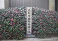 手形交換所発祥の地の写真_348610
