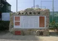 大阪明星学園（学校法人）の写真_348754