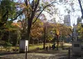 生玉公園の写真_348787