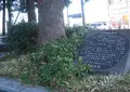 天神橋の写真_408859