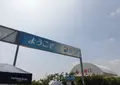 大阪舞洲ゆり園の写真_418396