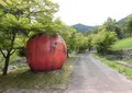 原メイプル公園の写真_449810