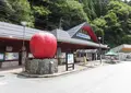 道の駅 はがの写真_449812