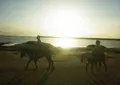 久米島馬牧場の写真_451278