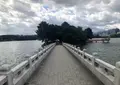 大濠公園の写真_452370