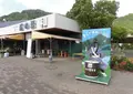 道の駅　和の写真_455996