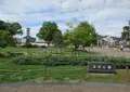 湊川公園の写真_487857