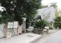 大湯間歇泉の写真_495214