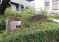 花ひろば（熱海御用邸跡公園）の写真_495219