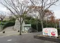 浜松城の写真_499908