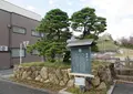 家康公鎧掛松の写真_501782