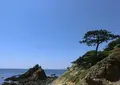 孝助松海岸の写真_517438