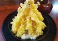 あさしお丸の写真_534754