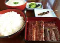 入船の写真_534774
