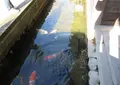 津和野城跡の写真_554869