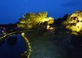 岡山後楽園の写真_568874