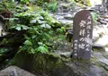 あみだが滝荘流しそうめんの写真_574788