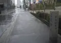 長尾街道の写真_577541