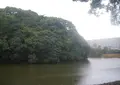 反正天皇陵の写真_577543