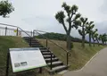 土師ニサンザイ古墳の写真_578423
