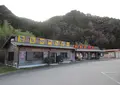 丹波竜の里公園の写真_612785