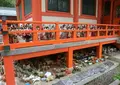 淡嶋神社の写真_624288