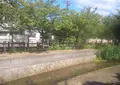 長瀬川遊歩道の写真_625798