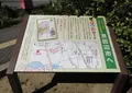 一休とんちロードの写真_640913