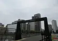 中之島バンクスの写真_658097
