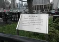 花の散歩道の写真_658098