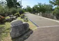 石屋川公園の写真_677431
