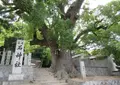 石神社の写真_677489