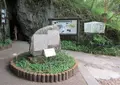 満奇洞の写真_679587