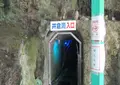井倉洞の写真_679589