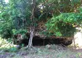 崎原公園の写真_689110