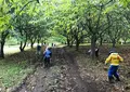 まる八いけだ農園の写真_689128