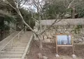 軽部神社の写真_710867